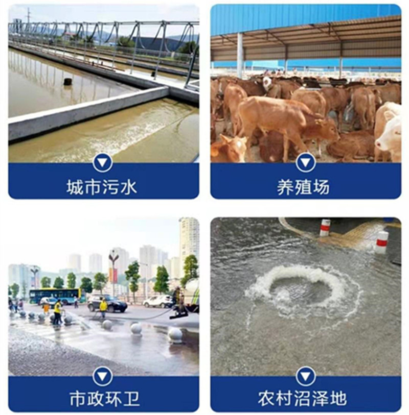 1616727989601005_副本.jpg